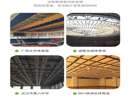 廣州創雅體育館聲學處理