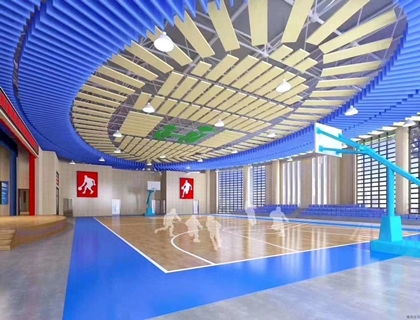 體育館的小秘密“平闆吸聲體”