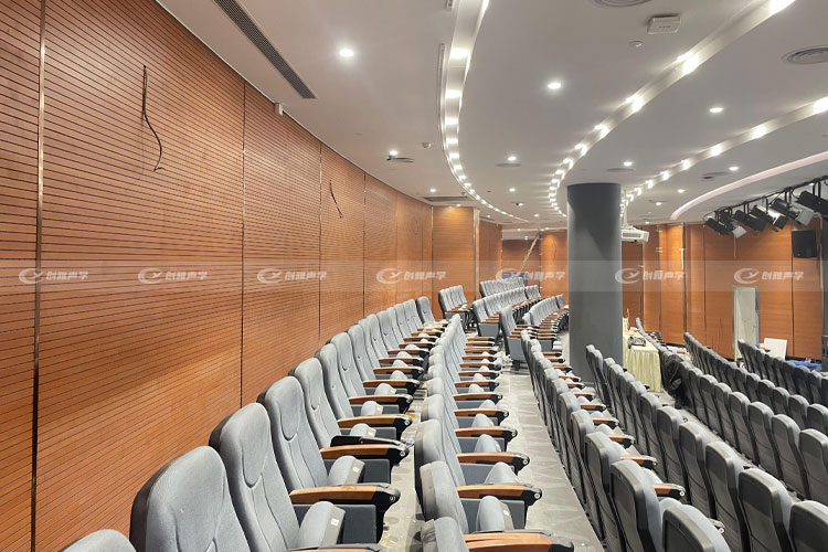 廣(guǎng)州多功能演藝廳階(jiē)梯室項目